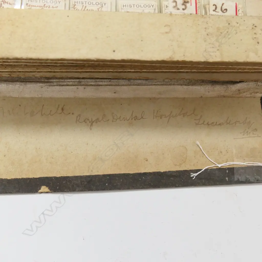BOX OF VINTAGE MICROSCOPIC DENTAL (HISTOLOGY) SLIDES & ANOTHER SMALL BOX OF SLIDES Image 1++